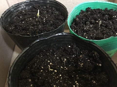 72B3F79E-A121-46D0-A688-D433FB6C4B56