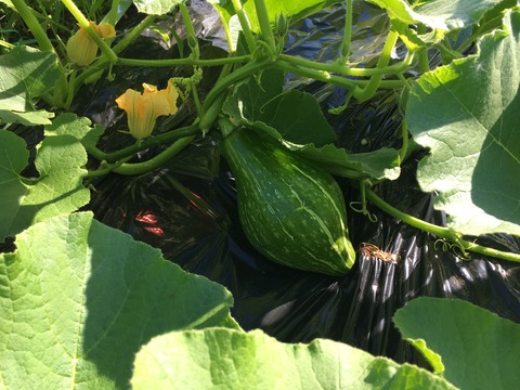 E4985811-EBA7-40BC-90D2-597E066FCC45