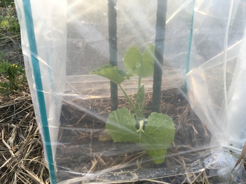 D49F3F65-E081-4B46-9285-1FF4ACCF1036