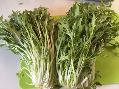 4644468B-F246-4F7B-9A61-F35787DDC7D2