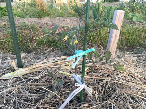 A48B1BBE-5A3C-4D78-8269-A154CF0A3077