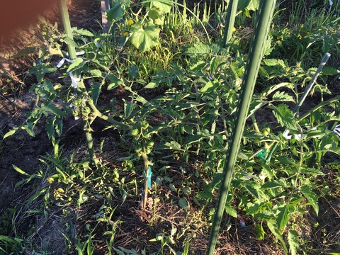 103C4B54-934E-4605-9AB4-878F8A4C078F