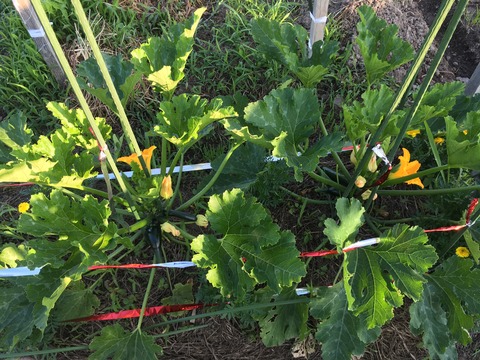 8F04EA47-C9F0-4E3A-ABE1-CBA7D00BD406