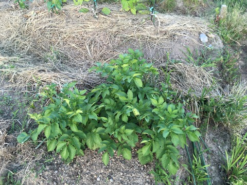 B7965B6C-6DFD-4798-91BA-9ACD4282811F