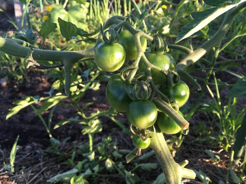 E7D27C2E-BDD6-4C7D-BD3B-6191BCB8C2EC