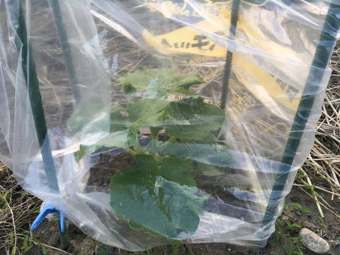 AEB57C9F-84EC-4184-A581-E0AB32EB2293