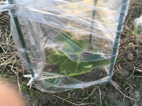 F075F10C-C57D-49C0-8CF2-1A9AD4547DAC