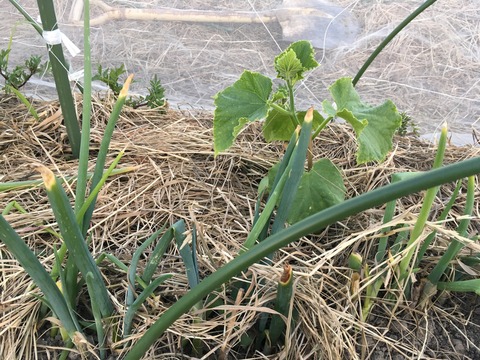 658F2725-5837-4BF2-A038-62F3AF637B73