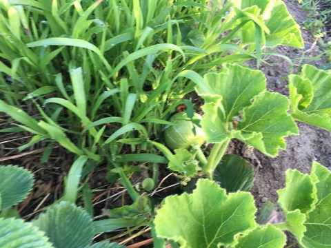 192CC789-8F8B-42D4-9F3F-484B4B3D1D29