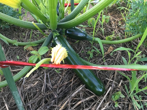 69A4C27A-18A8-4372-8ADA-FD789ABA248F