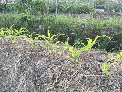 D55A6FC0-6F13-48D0-B232-FB830C65D534