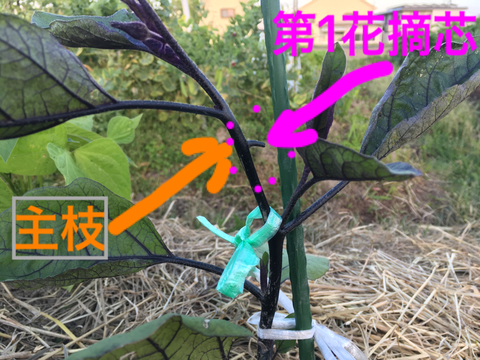 DAF39C30-9A8A-462D-9FEE-801B22605D68