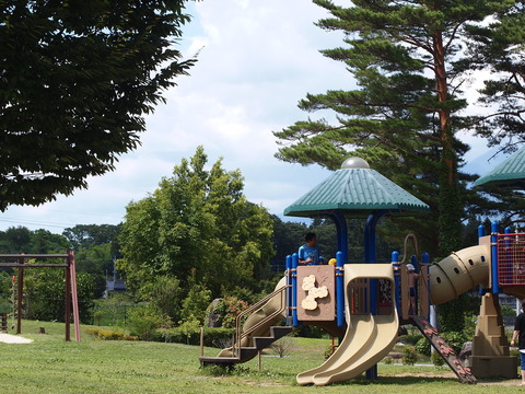 P1019423