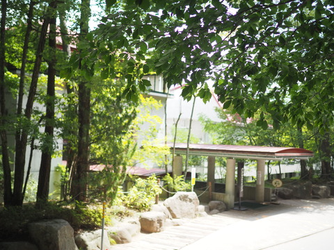 P8303317