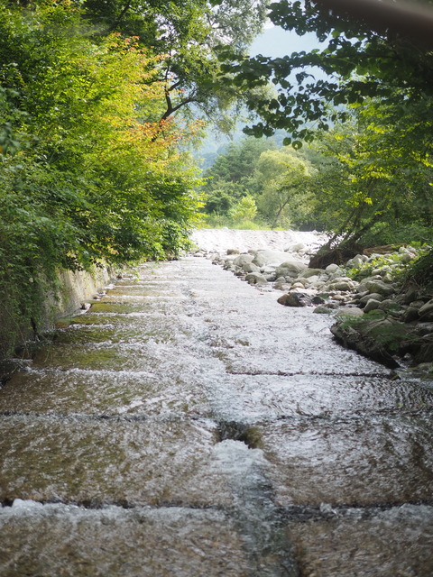 P8303331