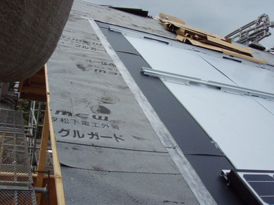 P7310005