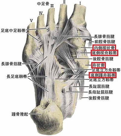 a4a23167