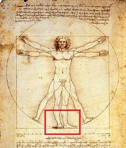davinci_vman-2