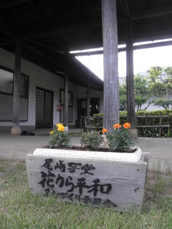 P7070037
