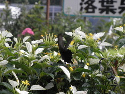 P6300001