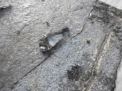 P9250067