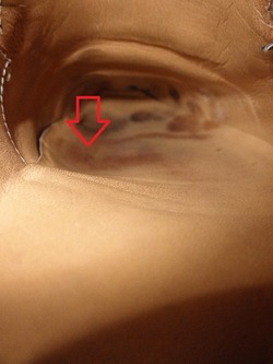 P1110035