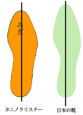 比較