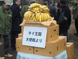 f29ab69f.jpg