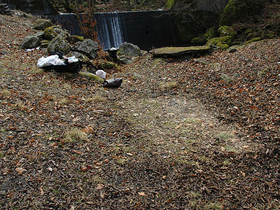 20070128_100829.jpg