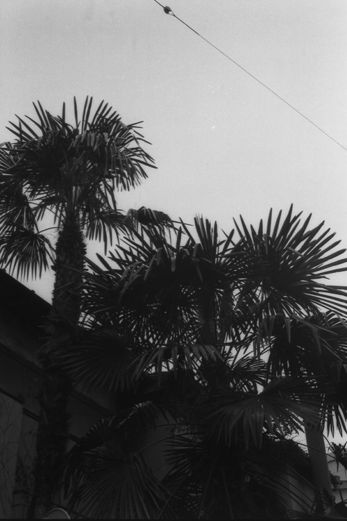 20071130_26