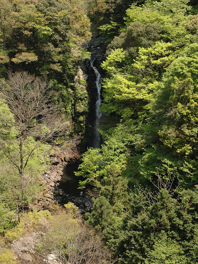 20070503_122853
