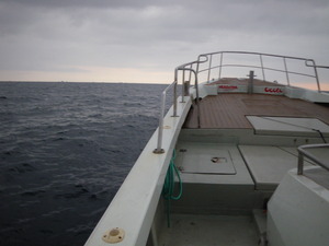 IMGP2252