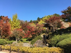 image1