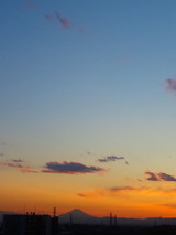 a09e75f7.jpg