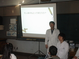 moyo