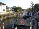 koinobori