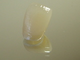 ���륳�˥���