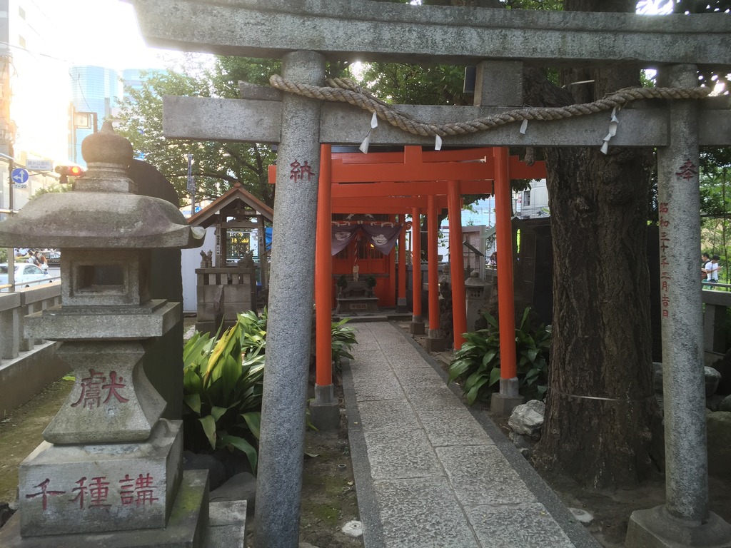 20160805_084114138_iOS