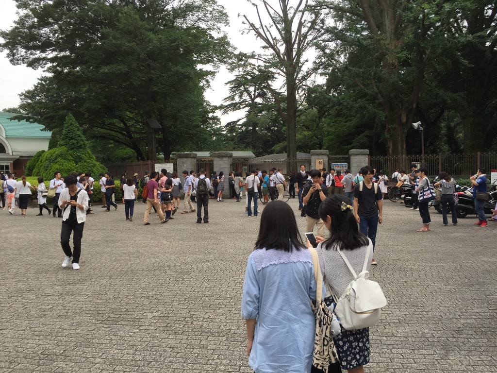 20160725_055857702_iOS