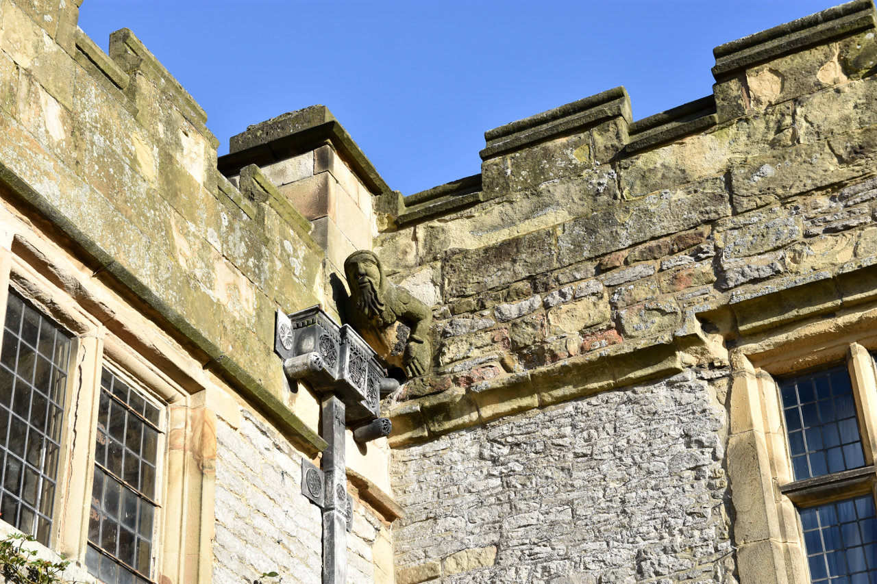 DSC_5661