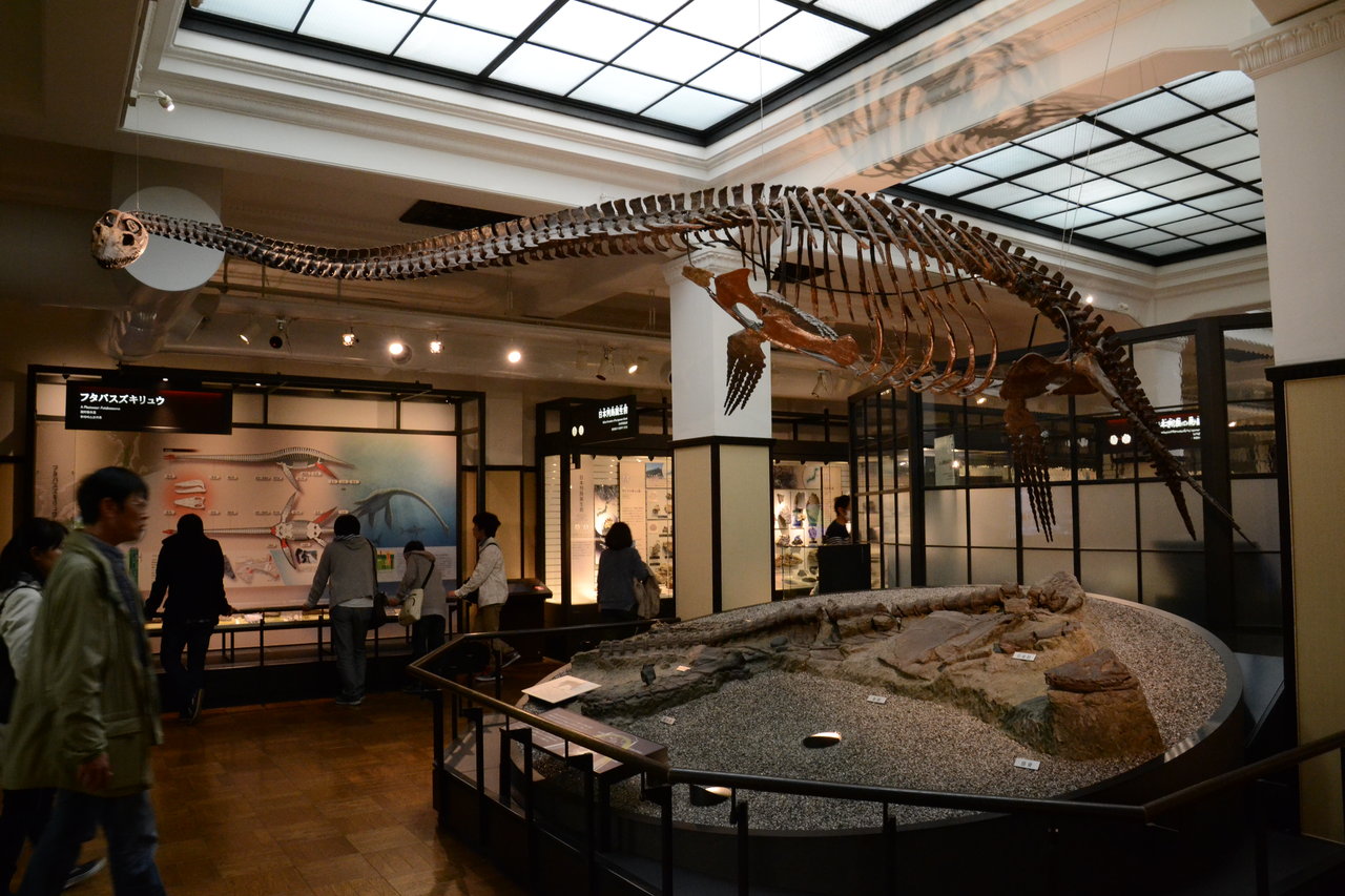 DSC_0659
