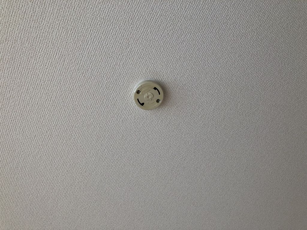 20190330_021027551_iOS