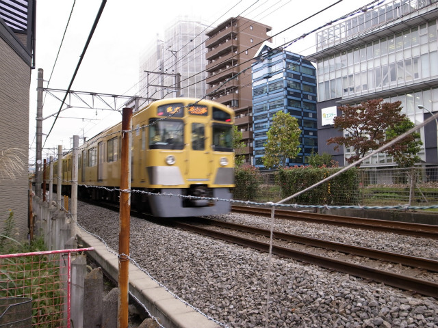 sR8041773