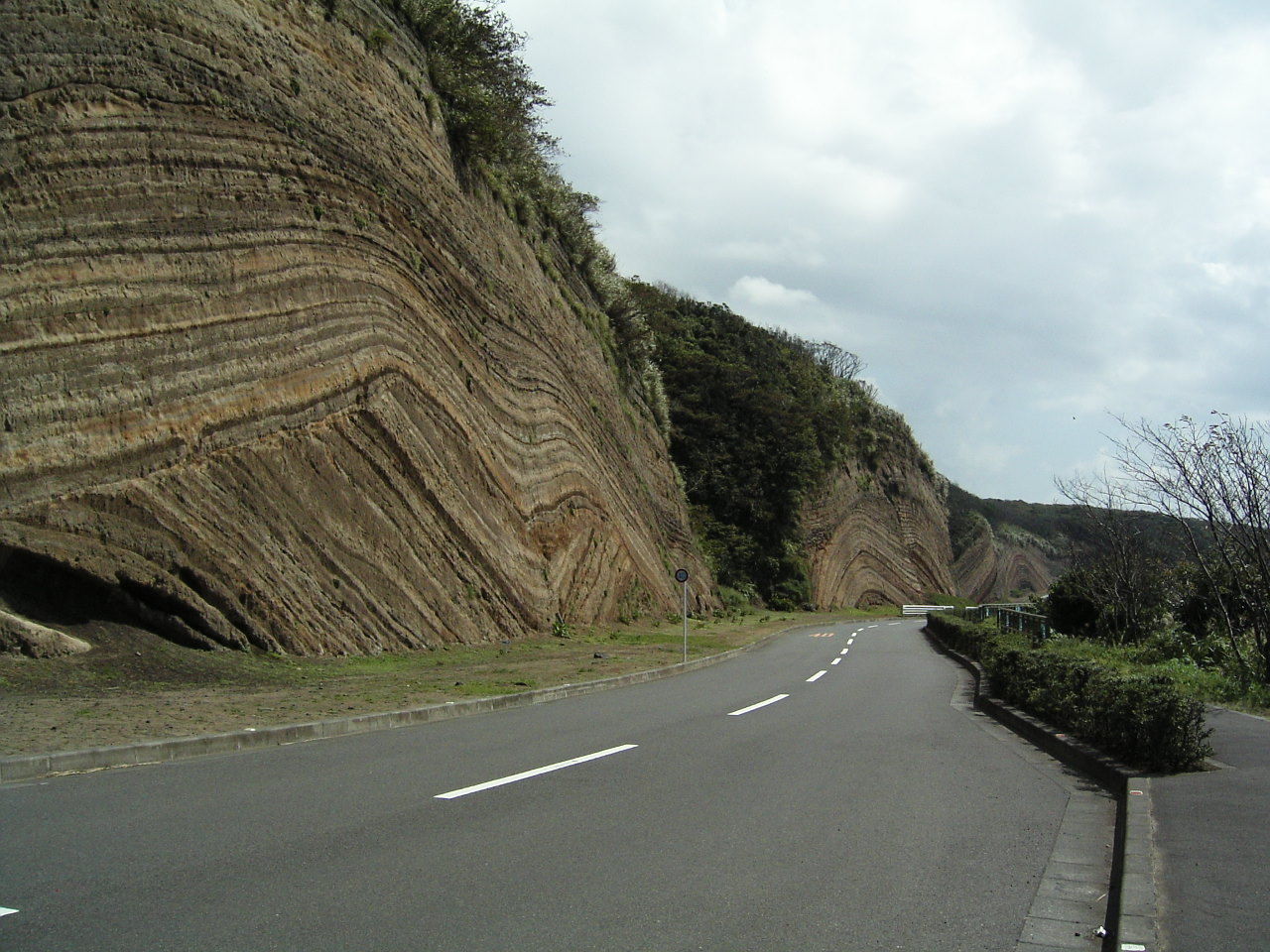 KIF_1259