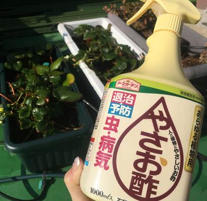 やさお酢