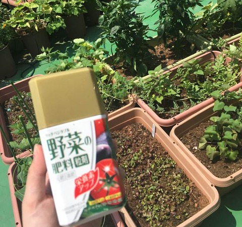 野菜の肥料