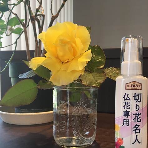 切り花延命