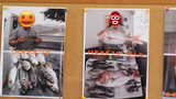 BlogPaint