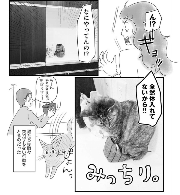 C16762B7-7443-4ABB-9FFB-1B978FDE08F8