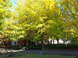 20131124_120347